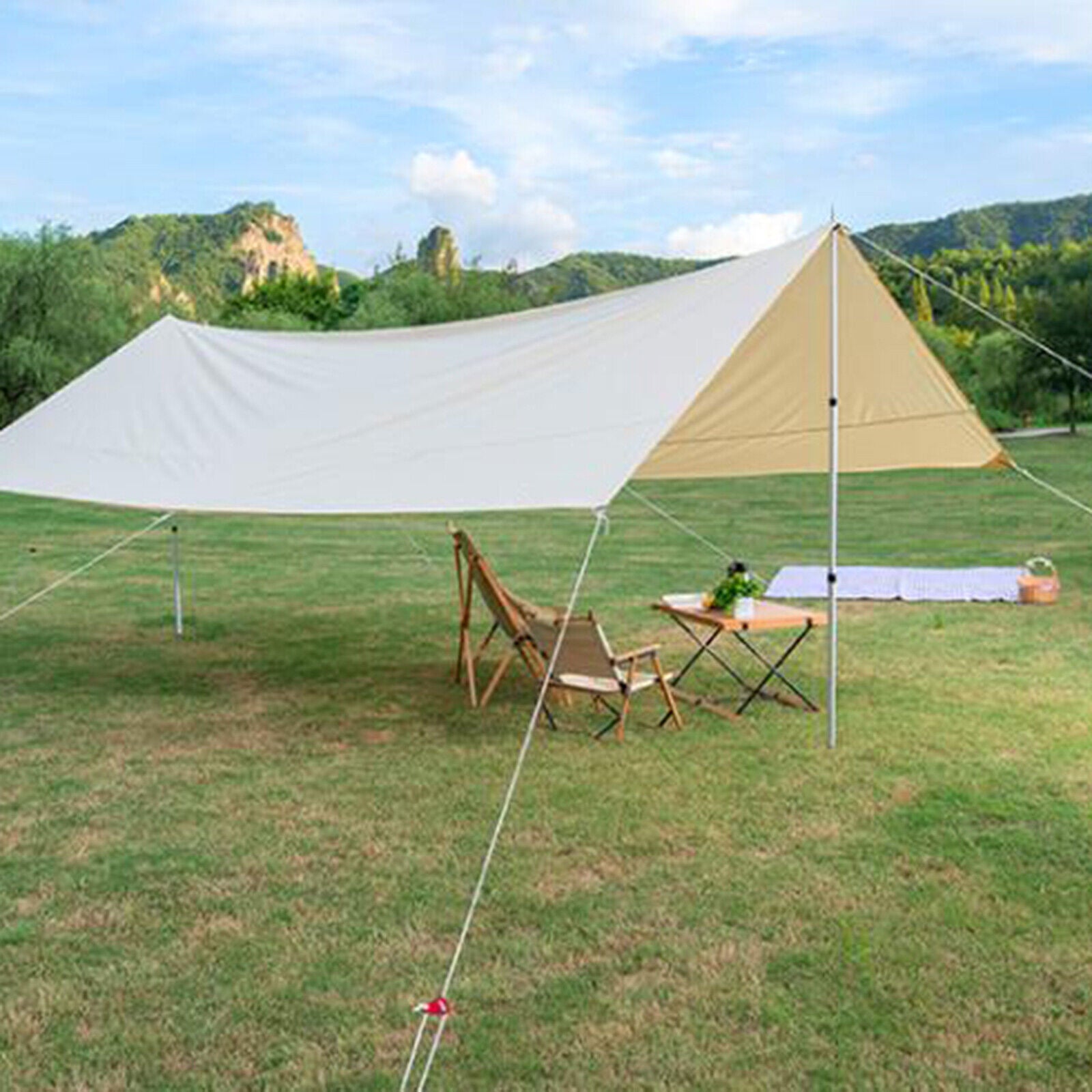 BaseGrip - Telescopic Tent Pole