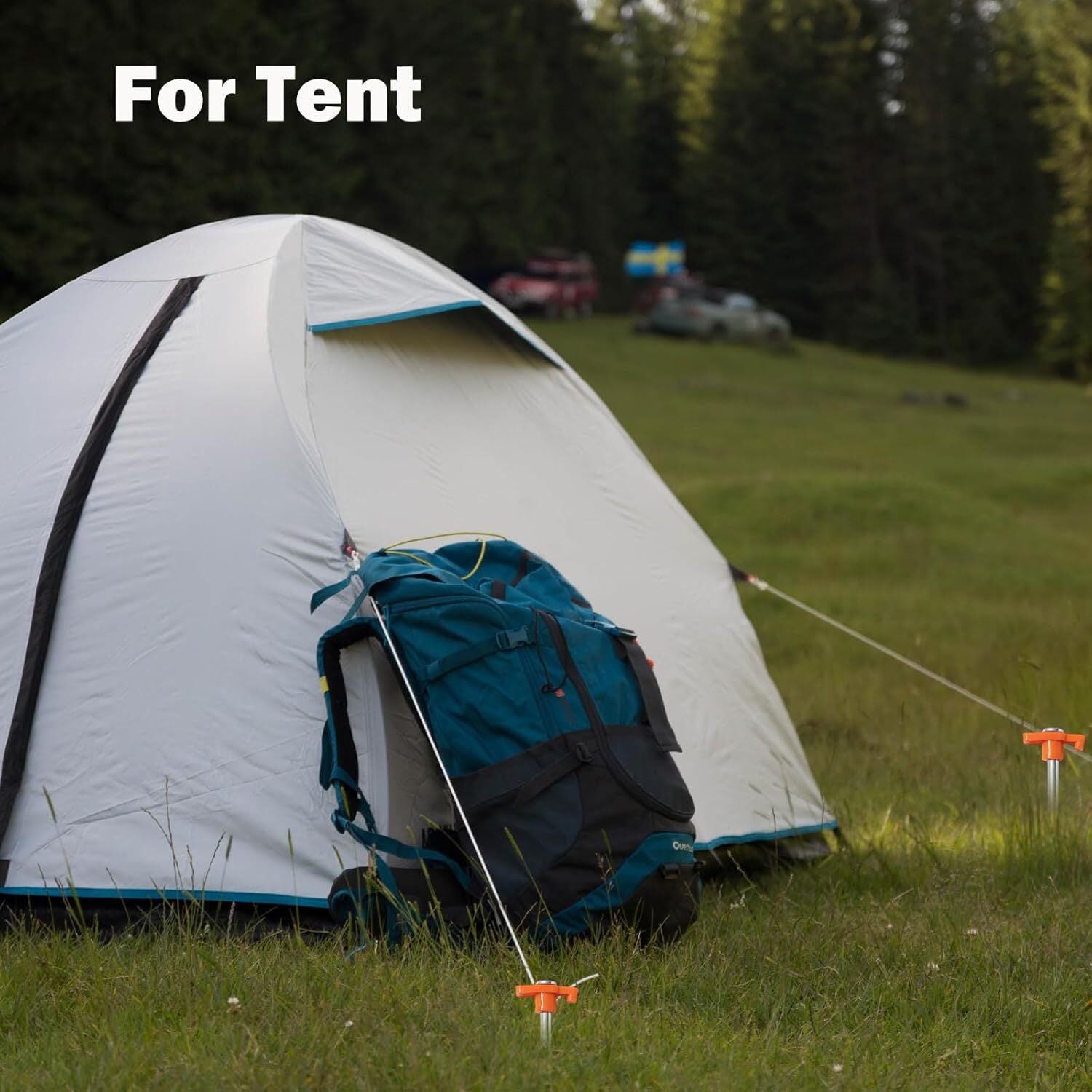 CampSecure  - Heavy-Duty Tent Stakes